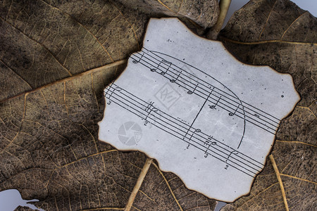 带纸和秋季音乐笔记的干叶宏视图图片
