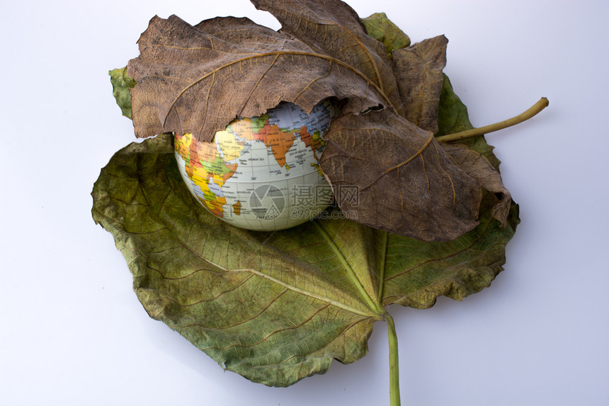 在两大秋叶之间布置的小模型地球图片