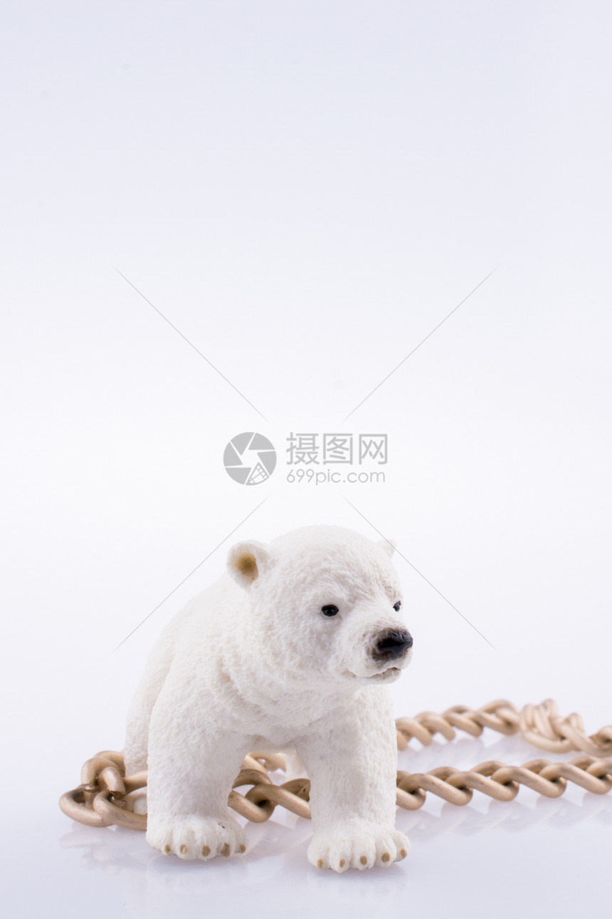 北极熊幼和白色背景的链条图片
