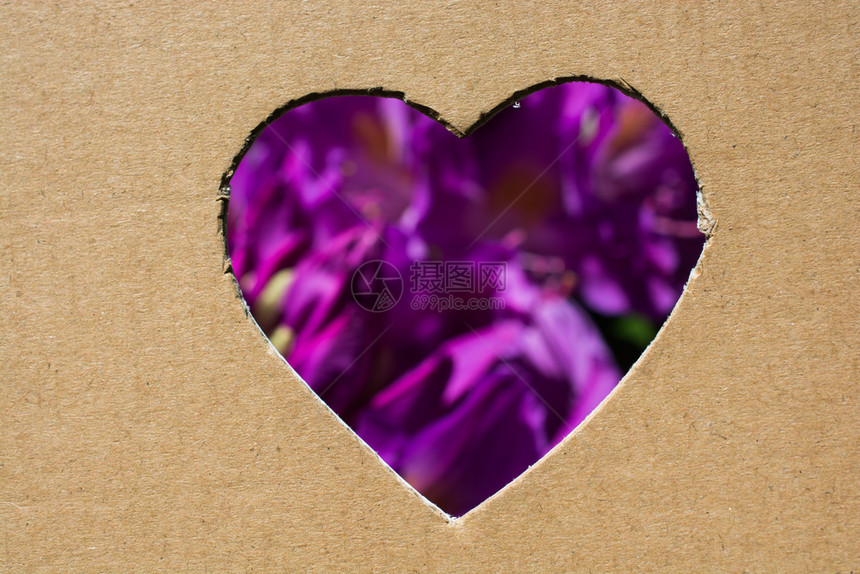 从纸板上切出心脏形状的鲜花图片