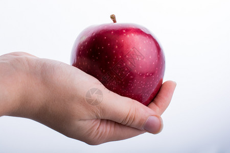 手持美丽的红苹果白色背景高清图片