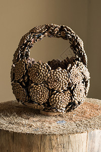 手篮由松锥制成放在圆木上背景图片
