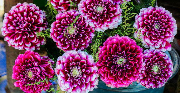 街头鲜花销售商Dahlia花朵的美丽束图片