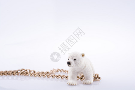 北极熊幼和白色背景的链条图片