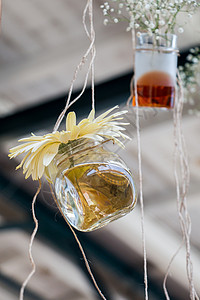 挂瓶香草茶瓶花挂在绳子上背景