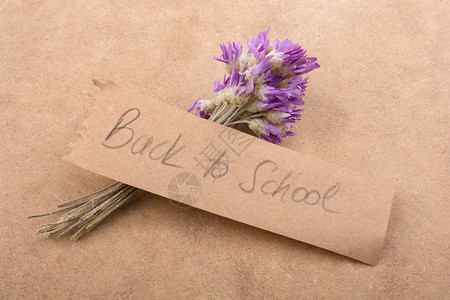 带着一束花儿回学校写信背景图片