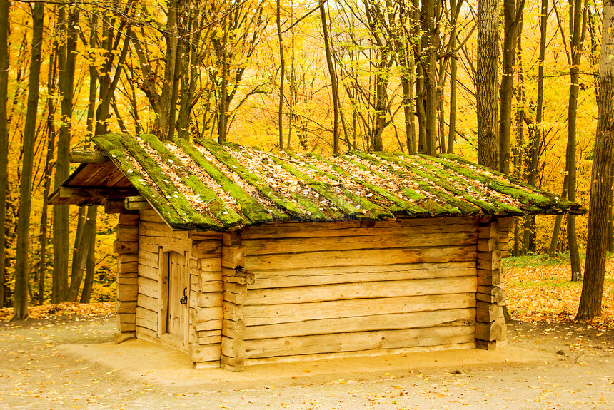 传统的乌克兰农村小屋有稻草顶图片