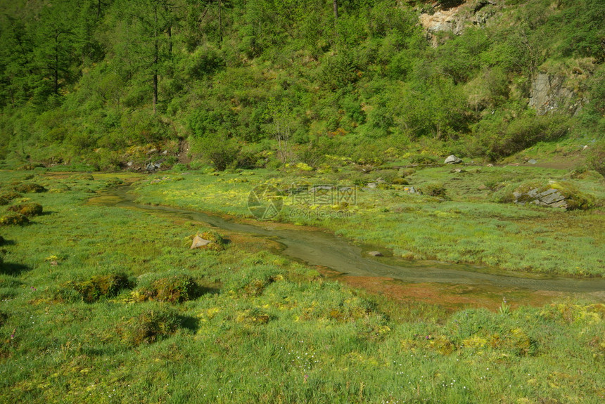 山中的河峡谷附近石头和岩河流附近的头和岩美丽的山地区河美丽地图片