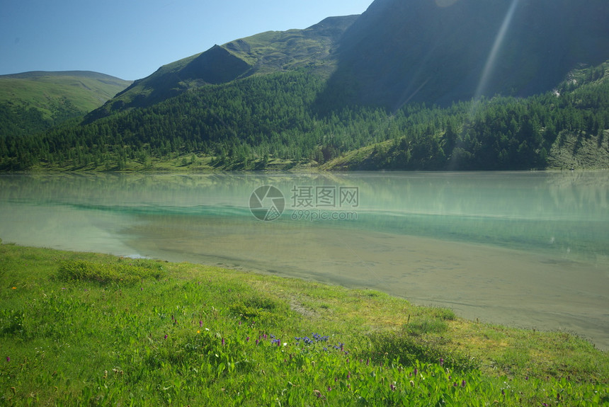 山中的河峡谷附近石头和岩河流附近的头和岩美丽的山地区河美丽地图片