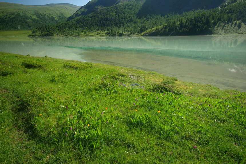 山中的河峡谷附近石头和岩河流附近的头和岩美丽的山地区河美丽地图片