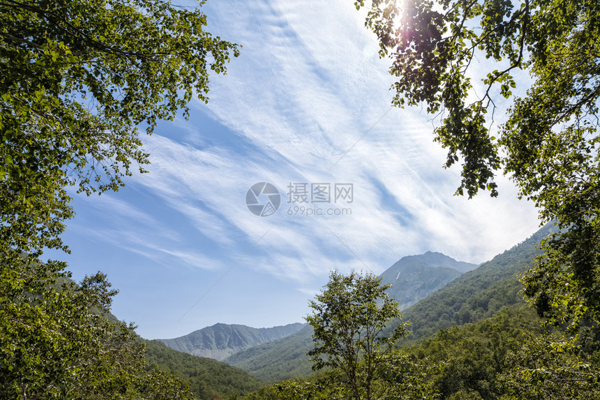 堪察卡的花岗岩森林和田野堪察卡的自然兰森林和田地堪察卡半岛的景观和光辉象图片