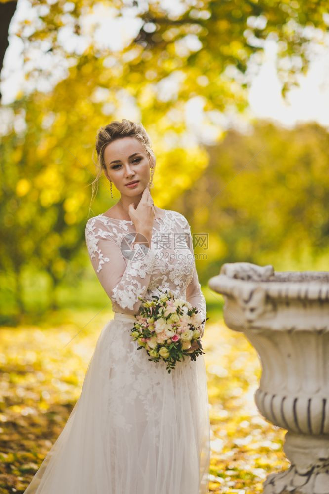 阳光明媚的秋日里新娘的画像在自然的背景下穿着漂亮的现代婚纱的女孩图片