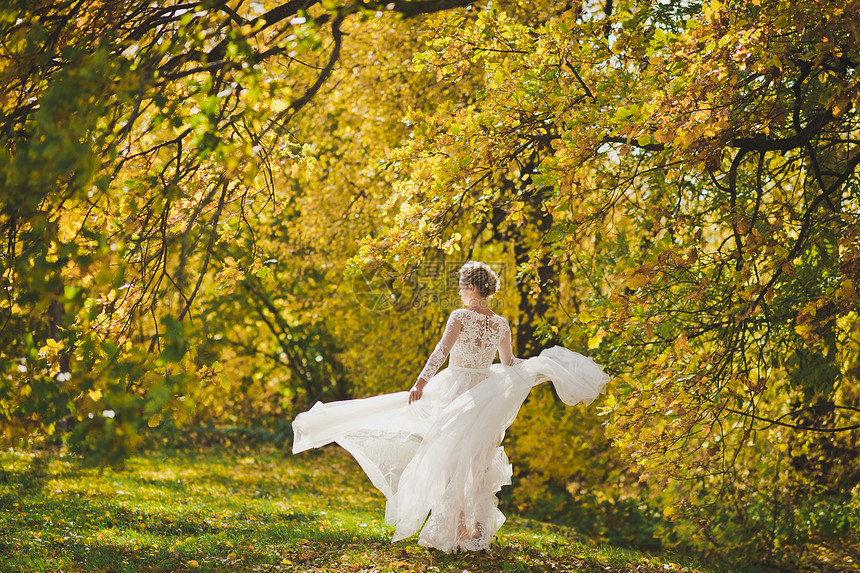 新娘在明亮的秋天森林边缘上快乐地旋转着正在发展中的裙子图片