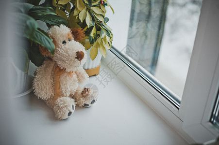 熊的外加玩具983扇窗户的玩具图片