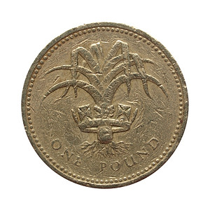 一磅硬币被白种背景隔绝背景图片