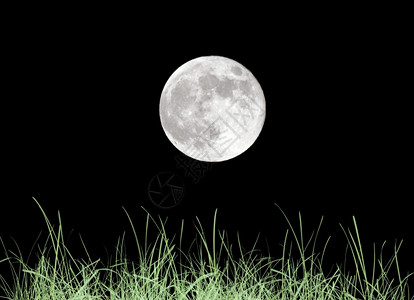 草原夜空上的月亮图片