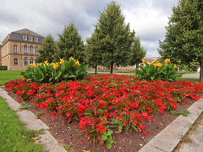 纽埃德国斯图加特的花园德国斯图加特的OberrSchlossgarten公园背景