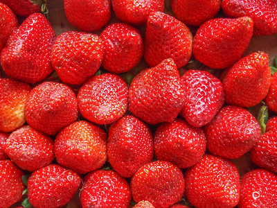 草莓和水果草莓水果又名花园草莓或草莓图片