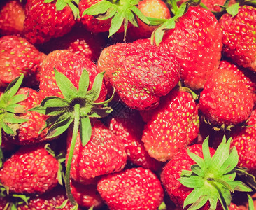 树草莓旧老的以草莓果为食物背景的旧以草莓果为食物背景的有用图片