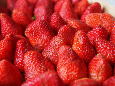 草莓水果aka或有选择地以田深度为重点图片