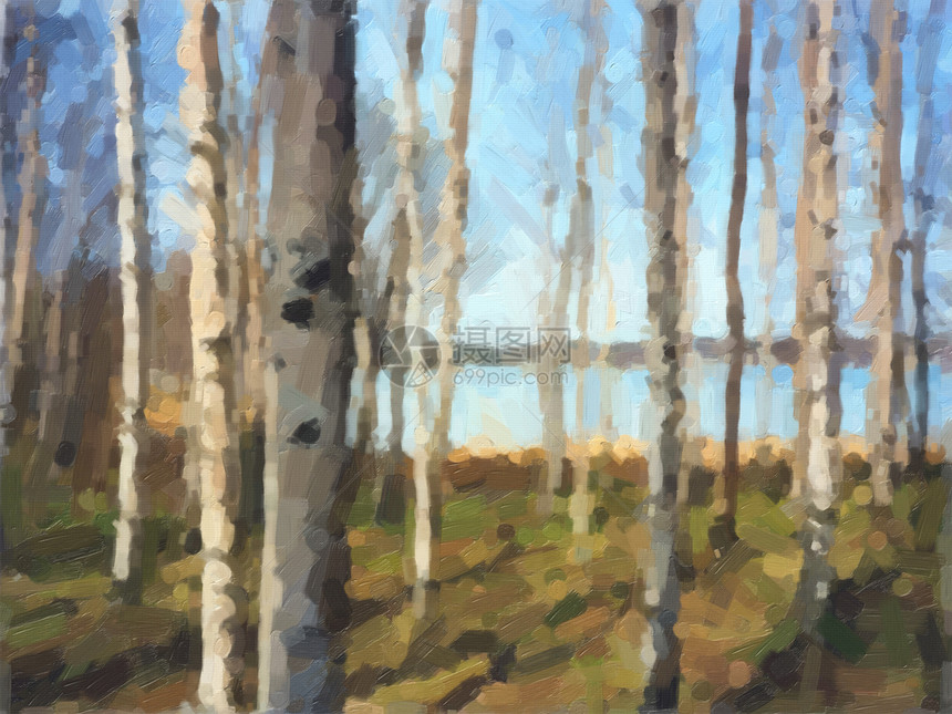 Birch树木油画芬兰Birch树林油画图片