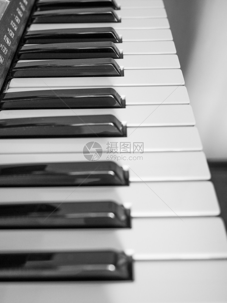 音乐键盘上的黑白详细信息图片