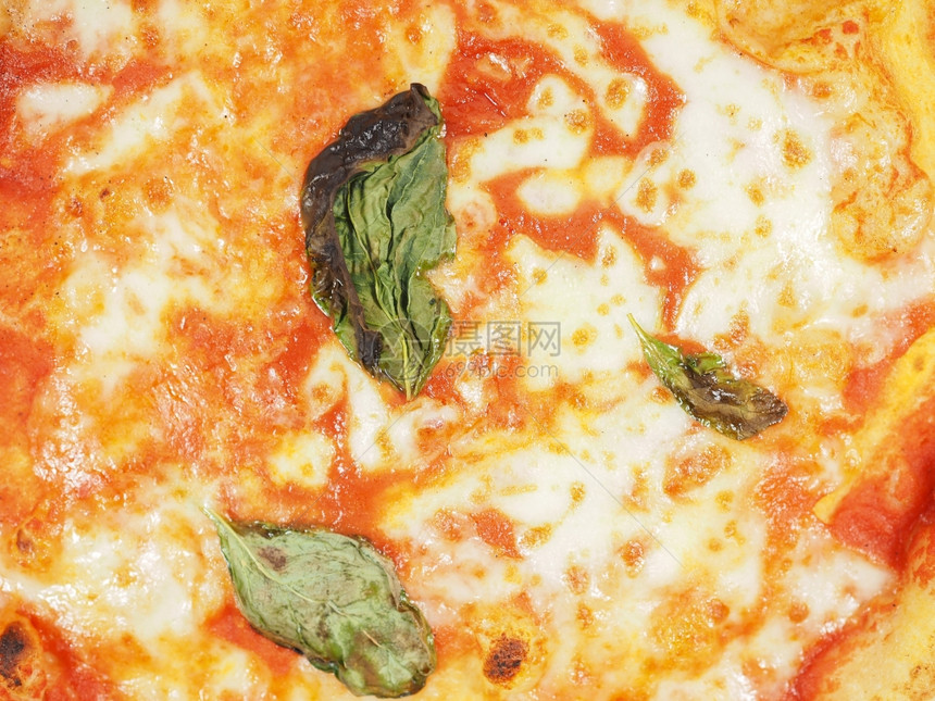 玛格丽塔披萨背景玛格丽塔又名玛格丽塔传统意大利披萨有用作背景图片