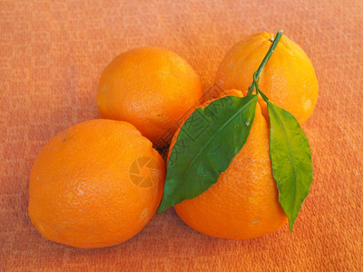 橙子水果素食品图片