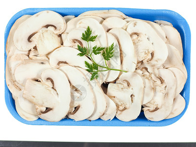香格里翁蘑菇被孤立白种蘑菇被孤立图片