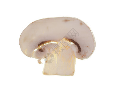 香菇分离在白色背景上分离的双孢蘑菇片图片
