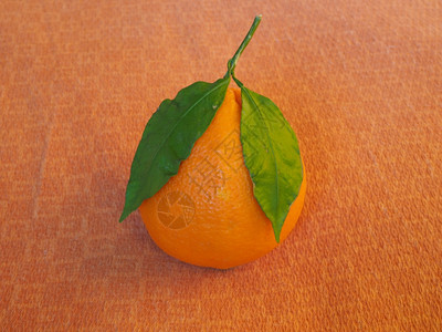 橙子水果素食品背景图片