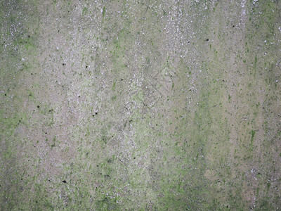 灰色混凝土背景Grunge灰色混凝土纹理绿苔带作为背景有用图片