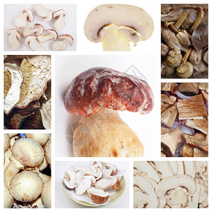 蔬菜食品组蘑菇包括猪肉和玉米饼图片
