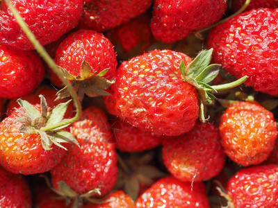 草莓水果背景作为背景有用图片