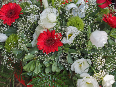 鲜花篮子红菊和白玫瑰图片