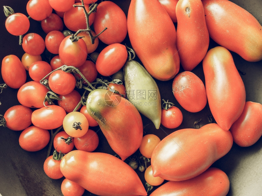 意大利番茄蔬菜健康素食品图片