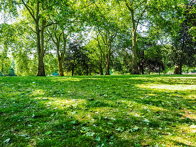 伦敦圣詹姆斯公园人类发展报告英国伦敦圣詹姆斯公园背景图片