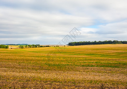 Salisbury的英语全景英Salisbury周围的英语全景Salisbury周围的英语全景背景图片