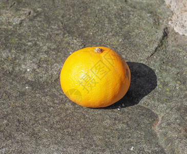 橙色普通话水果橙色普通话子Citurusretiturata水果素食品背景图片
