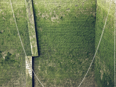 旧码头砖墙上的绿苔图片