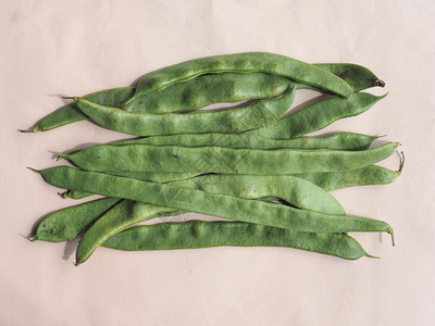 豆蔬菜种植意指全吃雪豆或松皮蔬菜素食品图片