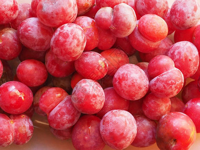 水果食品梅prunuscomemaaaka欧洲羽果素食品背景图片