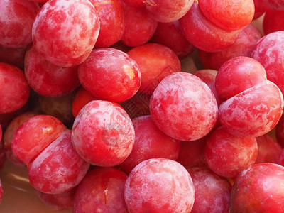 水果食品梅prunuscomemaaaka欧洲羽果素食品图片