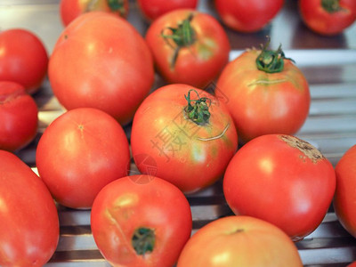 番茄蔬菜食品西红柿蔬菜素食图片