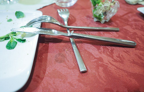 叉子和刀桌上使用的叉子和刀图片