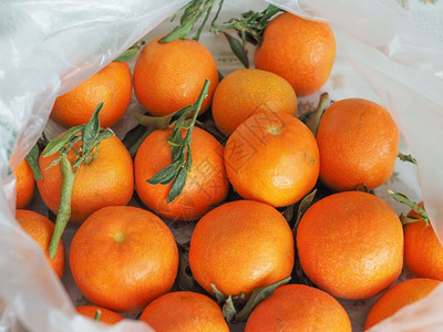 橘子水果素食橘果图片