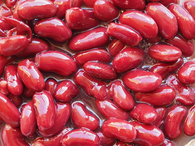 普通豆类Schephicolus粗俗的红色肾类豆蔬菜素食品背景图片