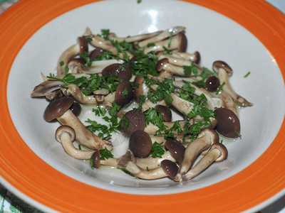 杨树蘑菇又名天鹅绒蘑菇食品杨树蘑菇又名天鹅绒蘑菇配欧芹图片