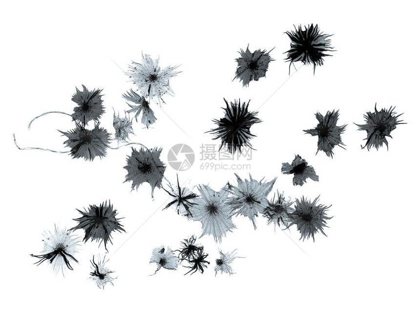 银莓晶体显微镜银莓晶的浅光摄影图图片