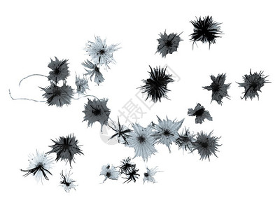 银莓晶体显微镜银莓晶的浅光摄影图高清图片